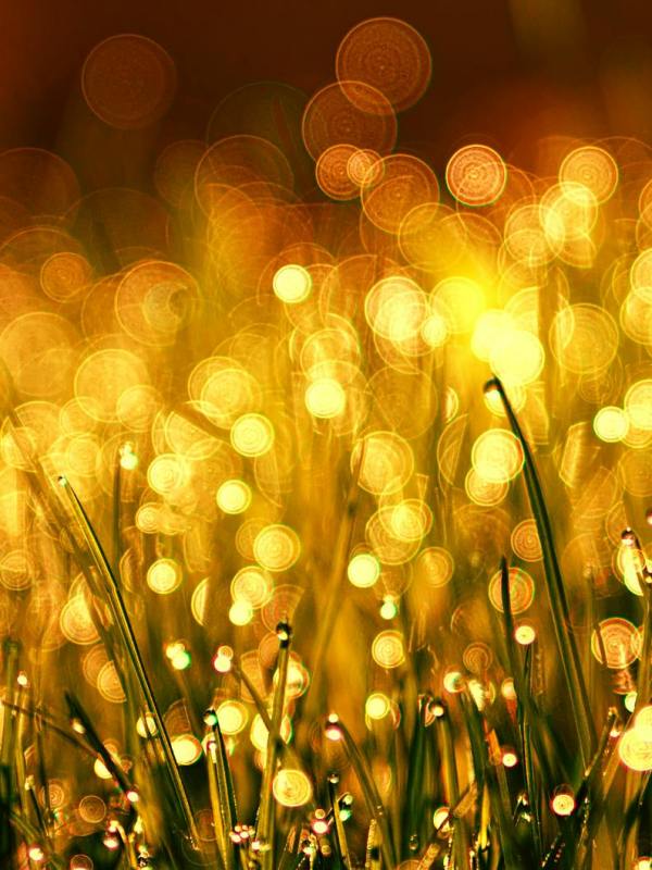 Freie Rede und Meinungsfreiheit | #goldeneregel