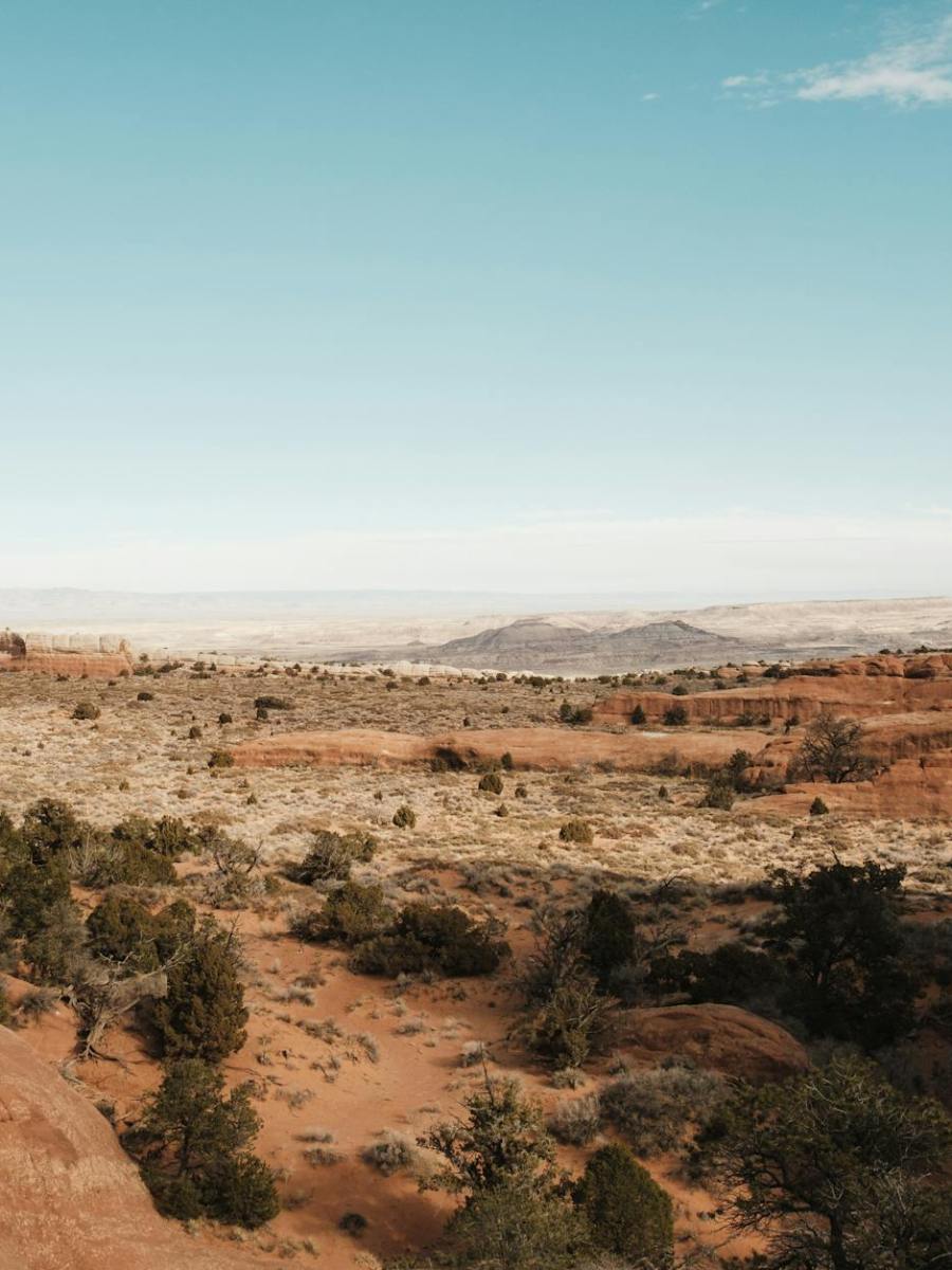 Diskussionen über Israel und Palästina | #respekt #demut