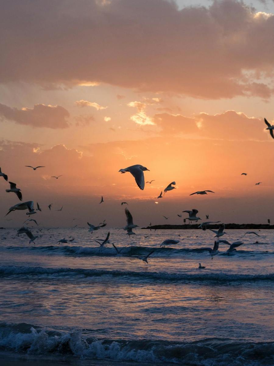 Israel | Erwähltes Volk?