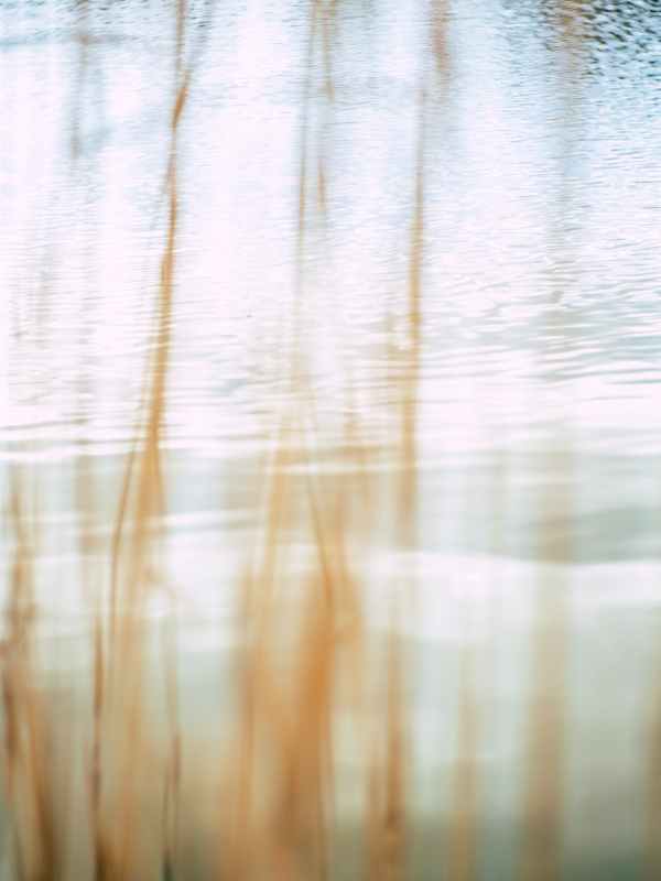 Der heilige Geist | Perichōrēsis? Paraklētos?